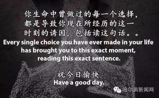 你一看就是一個讀書的料,一位讀書者的心靈之旅