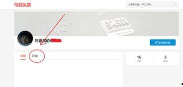 頭條的收藏從哪里看,洞察熱門內容生成秘訣