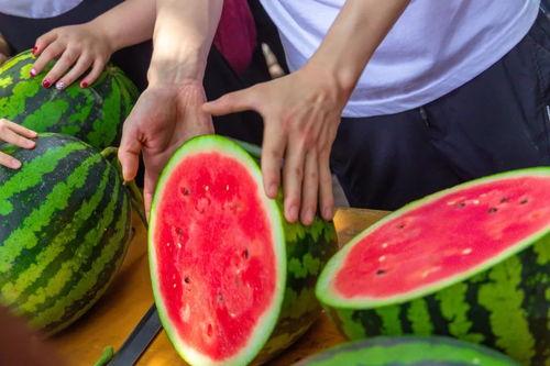 大學操場吃瓜,校園生活里的閑聊時光