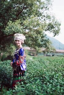 苗族姑娘明星,璀璨民族之光，閃耀熒屏風(fēng)采