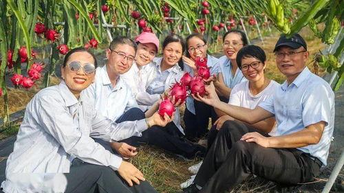 吃瓜觀眾好熱情