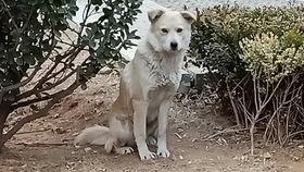 貓吃貝貝瓜嗎,揭秘貓對貝貝瓜的喜愛之謎