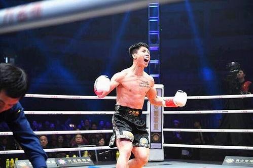 昆侖決明星,搏擊江湖的璀璨星辰