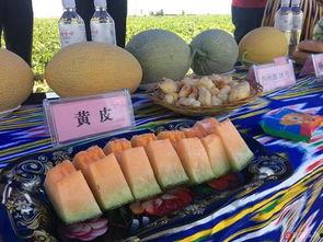 去吐魯番去哪里吃瓜