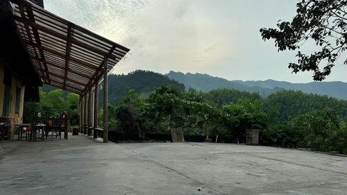 今日頭條山居在哪里,揭秘今日頭條熱門話題“山居在哪里”